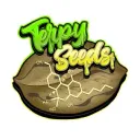  Terpy Seeds Gutscheincodes