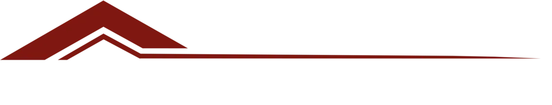 dachbleche-online.de