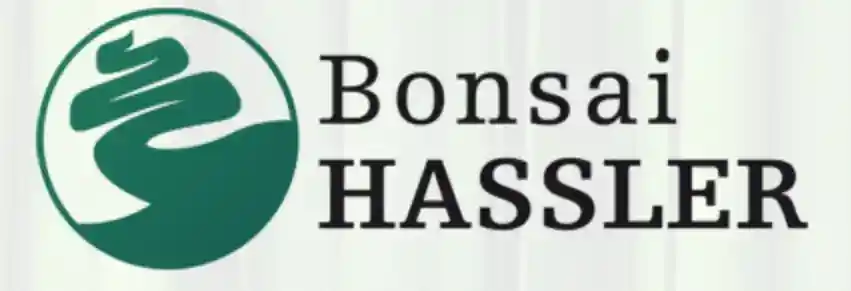  Bonsai Hassler Gutscheincodes